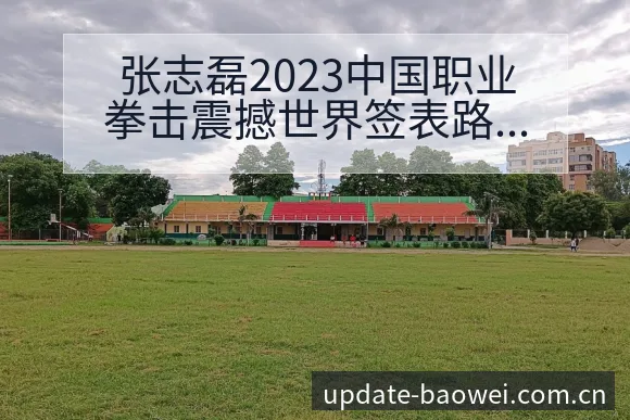 张志磊2023中国职业拳击震撼世界签表路径与晋级前景技术 - 宝威体育官网
