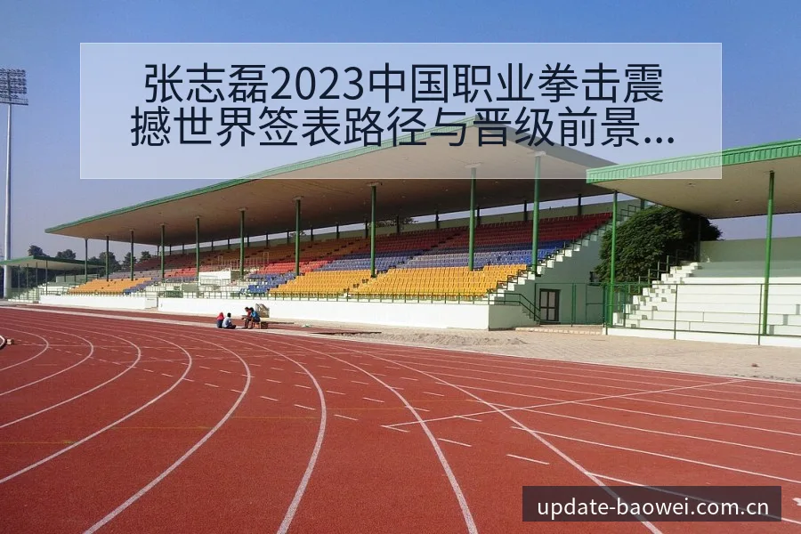 张志磊2023中国职业拳击震撼世界签表路径与晋级前景技术 - 宝威体育官网